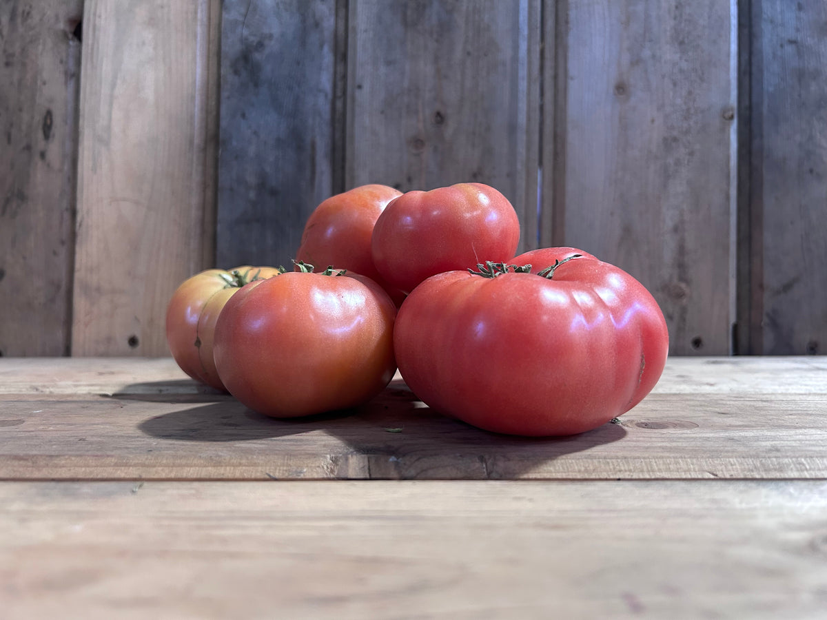 Tomato, Beefsteak