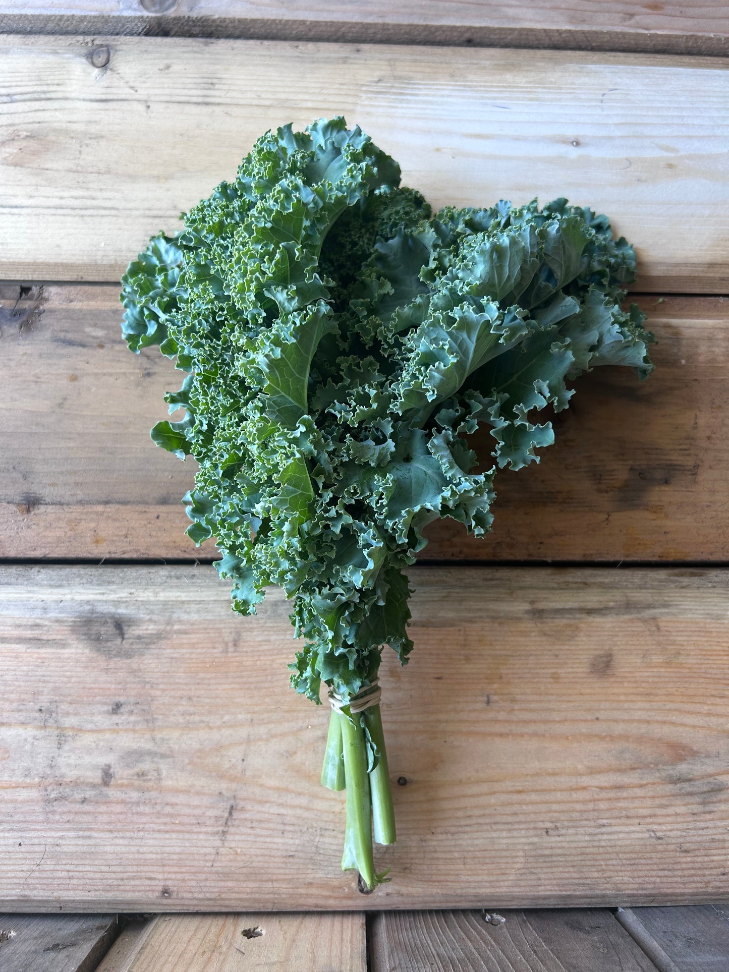 Kale, Green