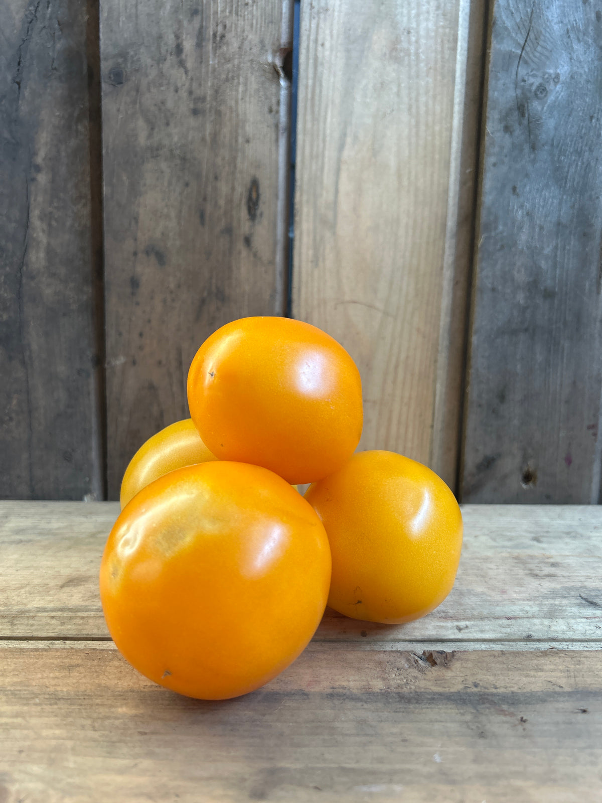 Tomato-Lemon Boy