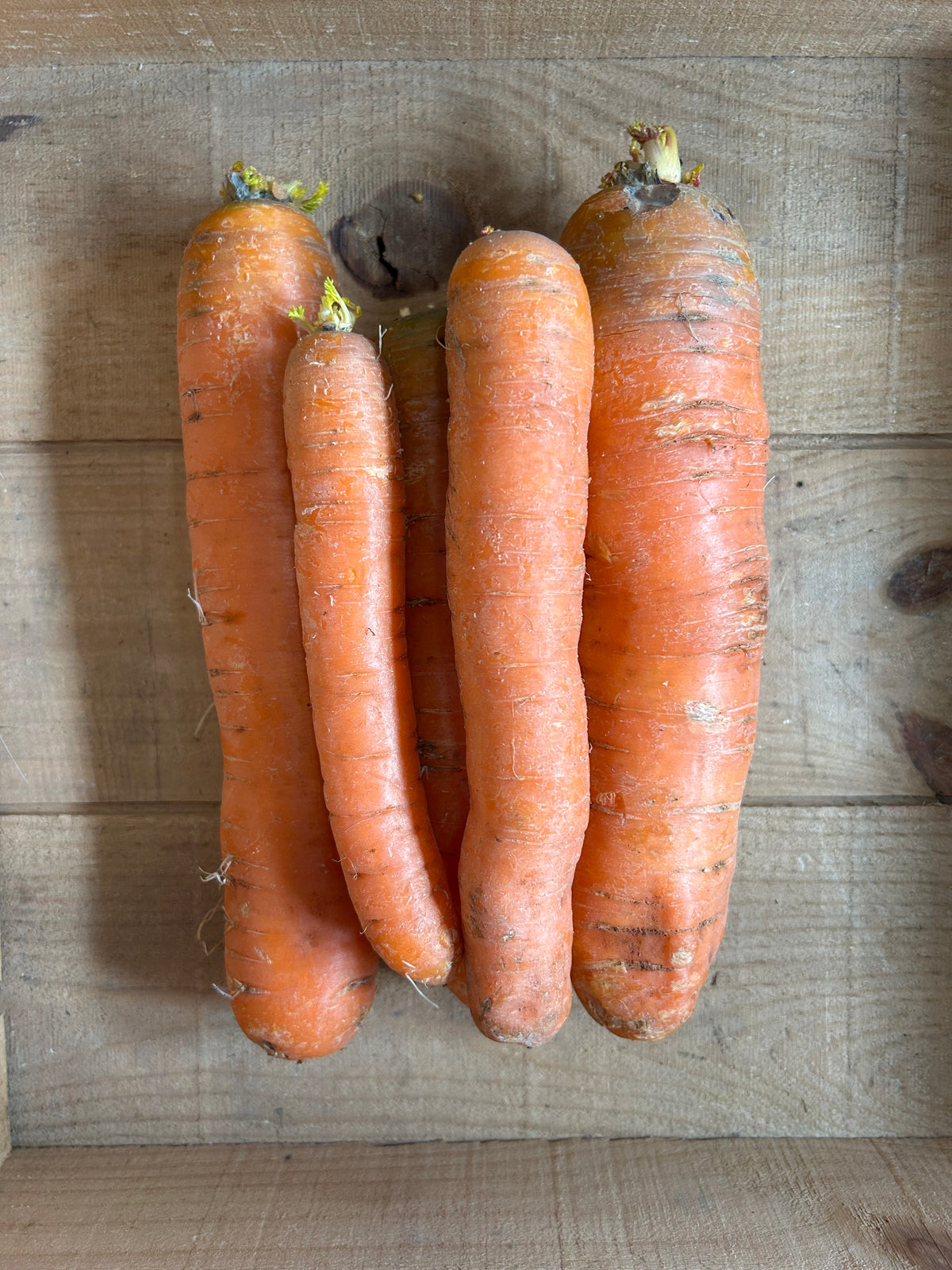 Carrots, Bulk