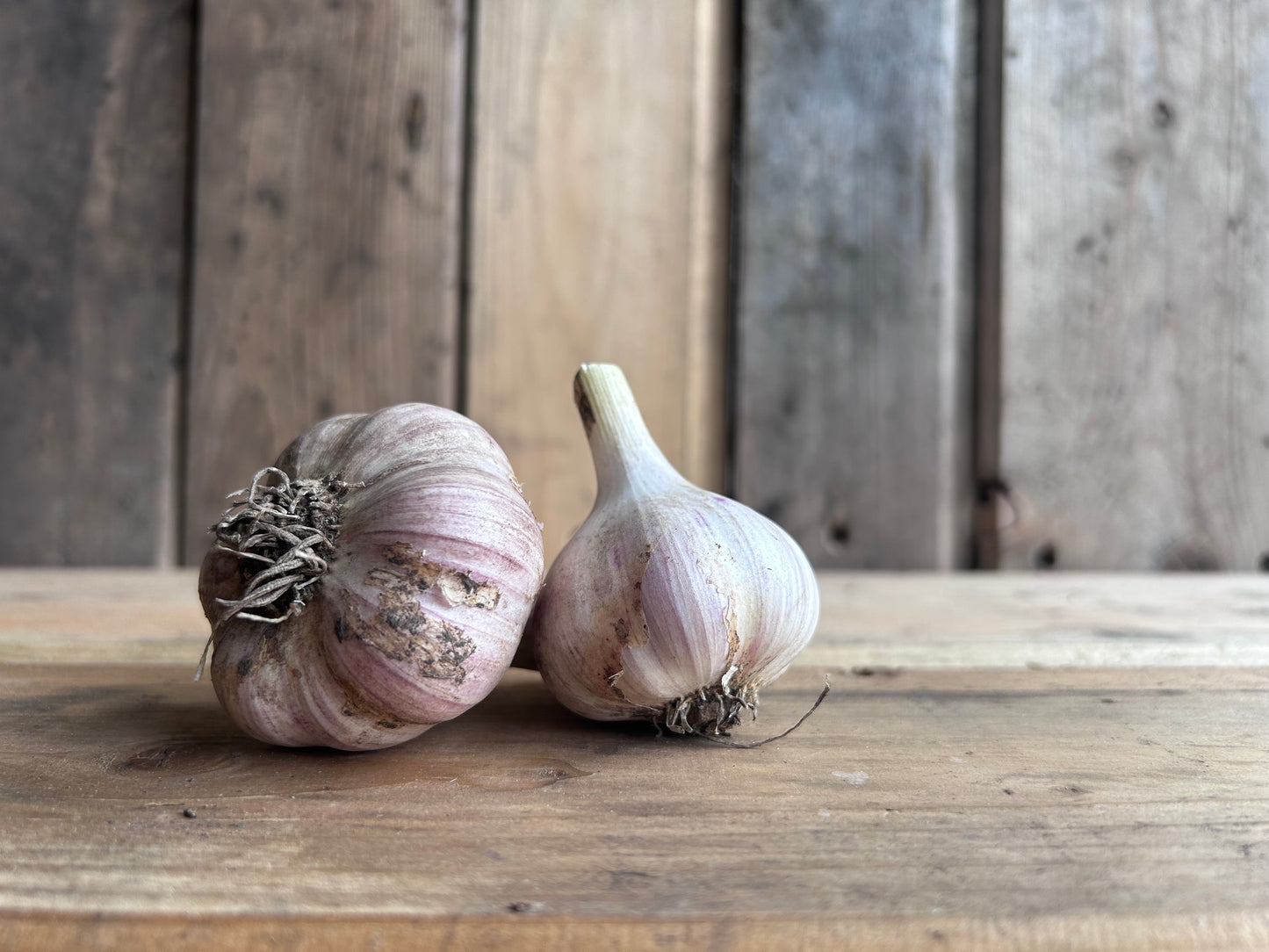 Garlic, Fresh