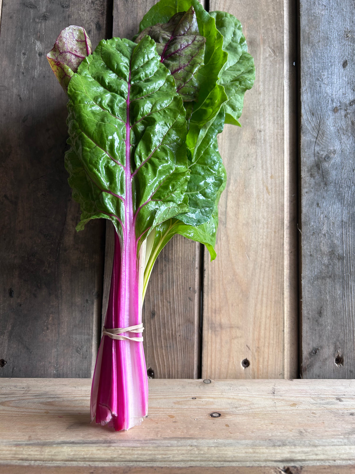 Swiss Chard