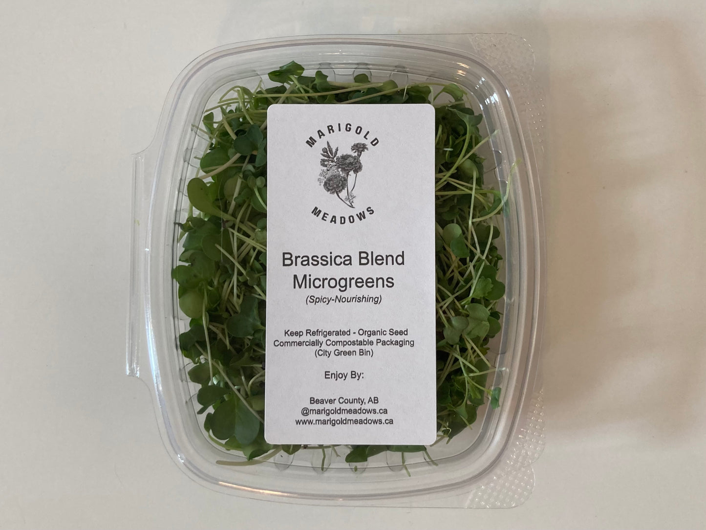 Microgreens - Broccoli Brassica Blend