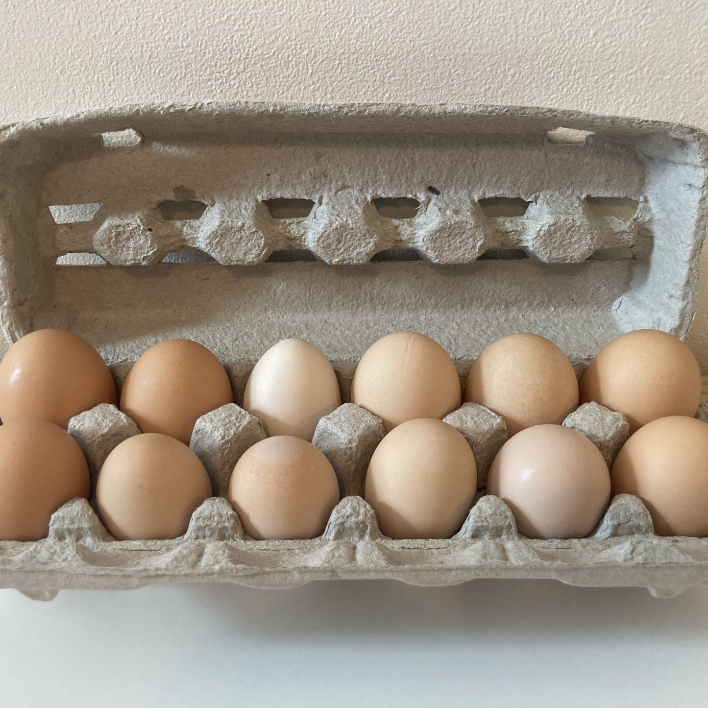 Eggs