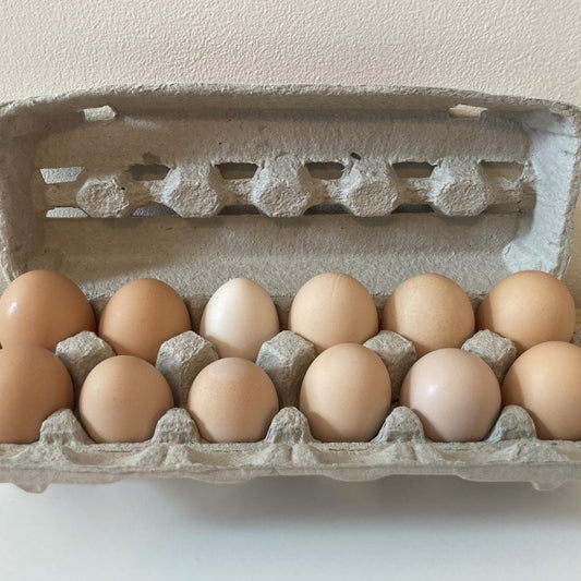 Egg Subscription 2026