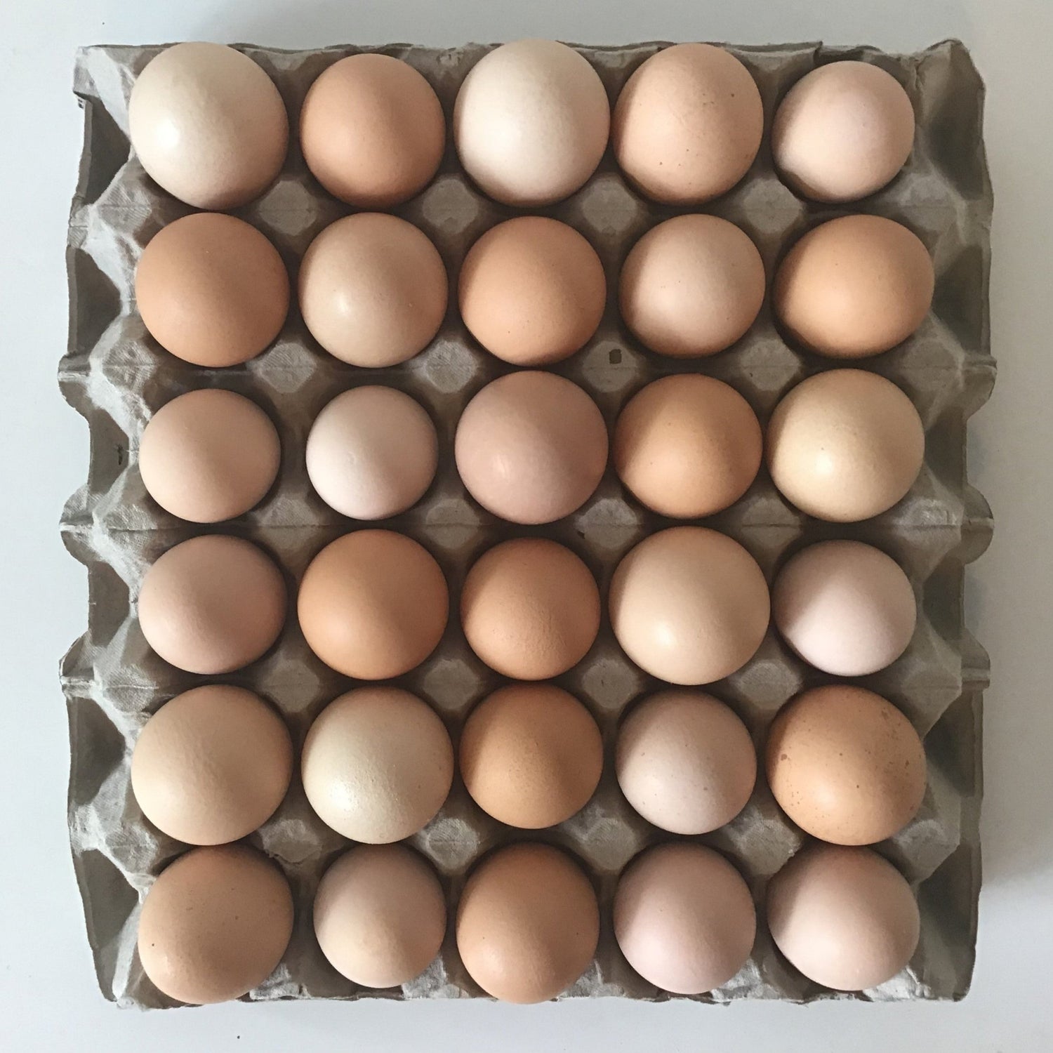 Eggs
