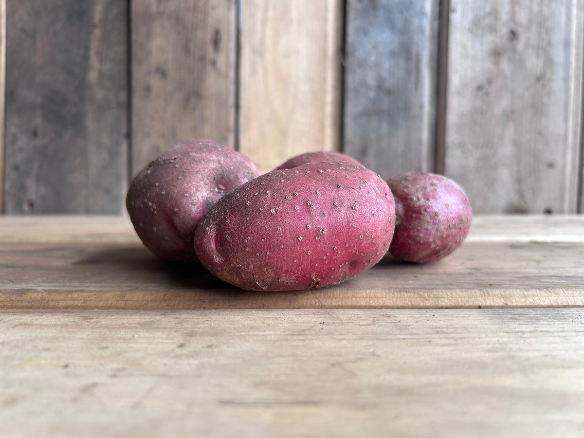 Potato, Sangre