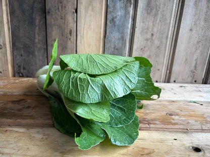 Bopak Bok Choy