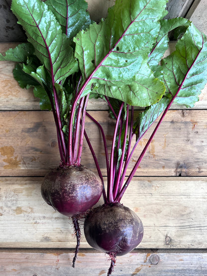 Beets, Red