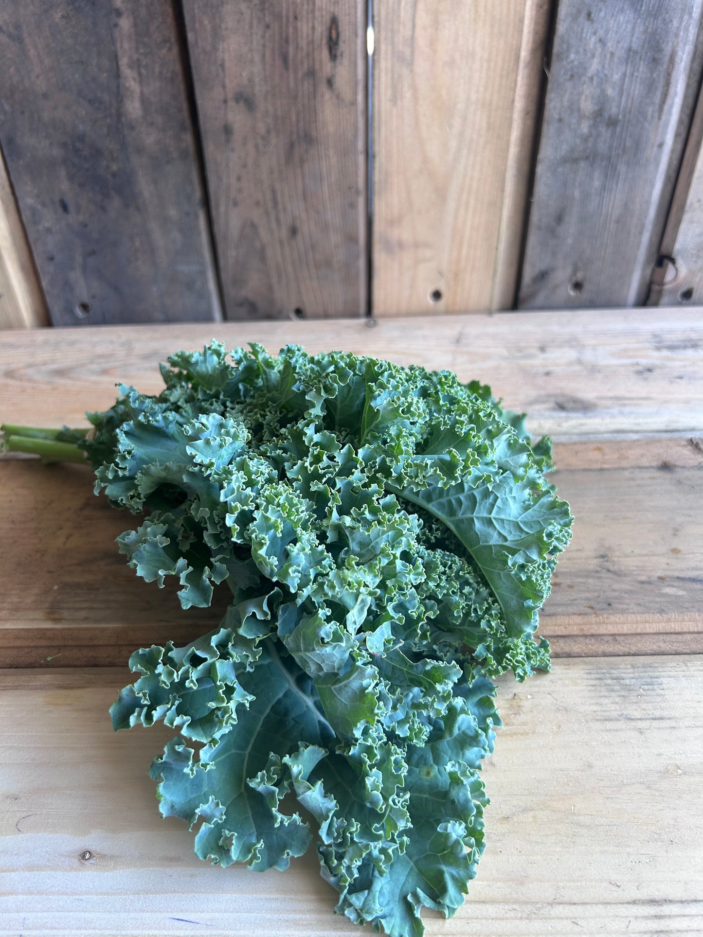 Kale, Green