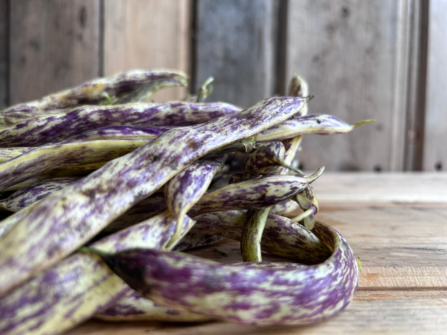 Beans, Dragon Tongue
