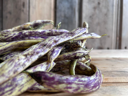 Beans, Dragon Tongue
