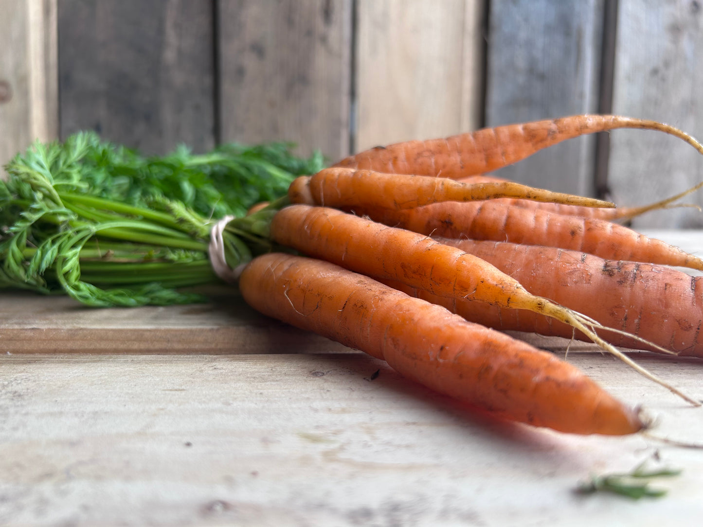 Carrots, Bunch