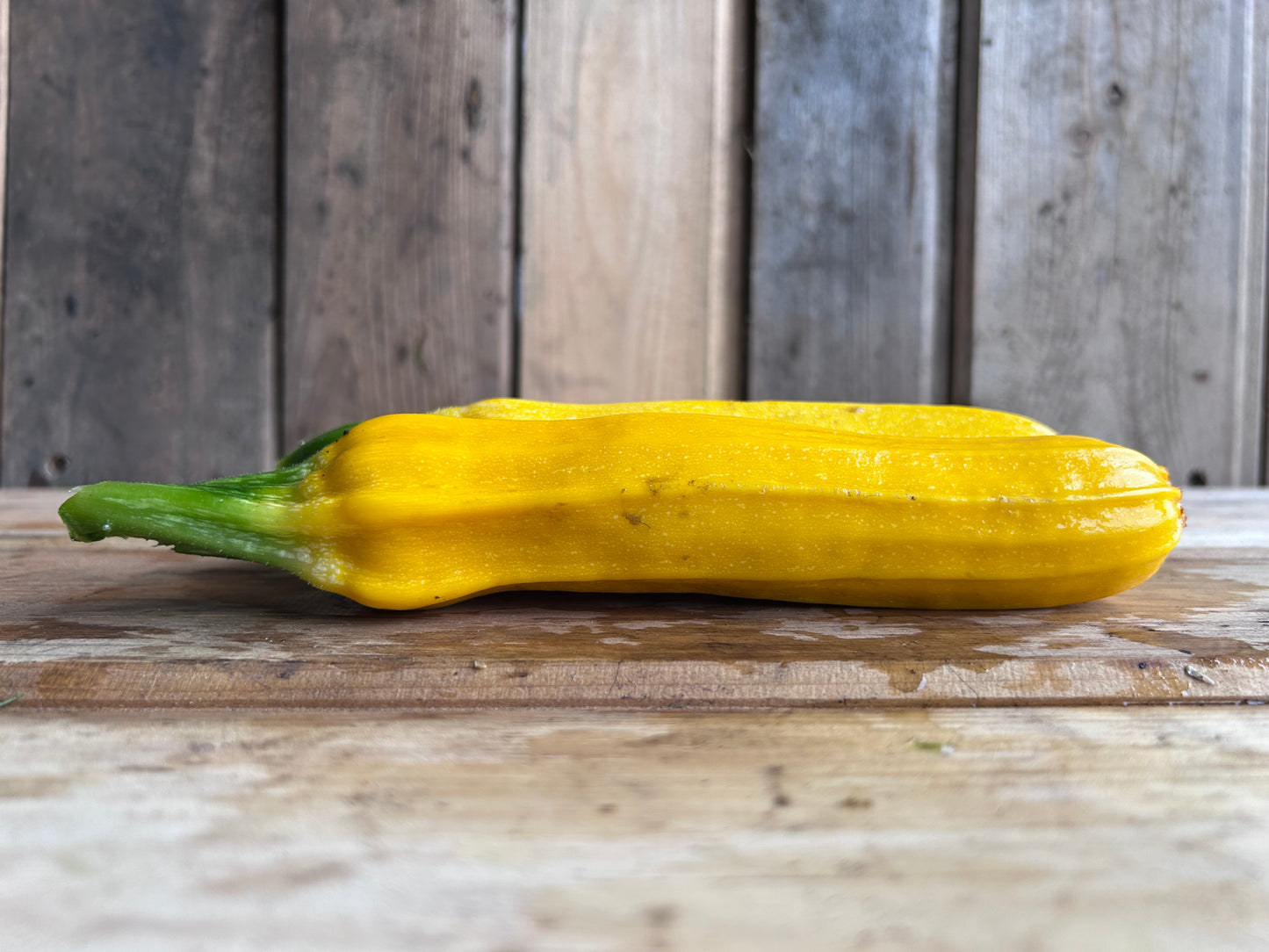 Zucchini, Gold