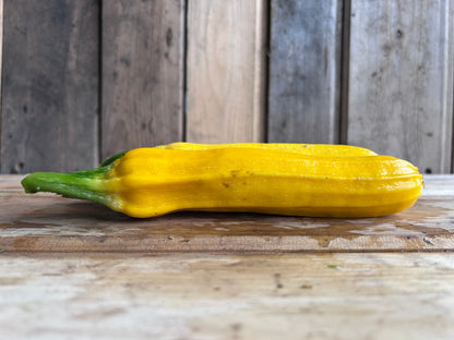 Zucchini, Gold