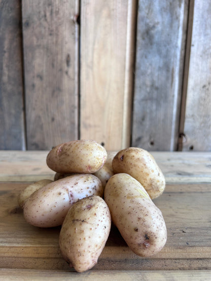 Potato, Alta Blush
