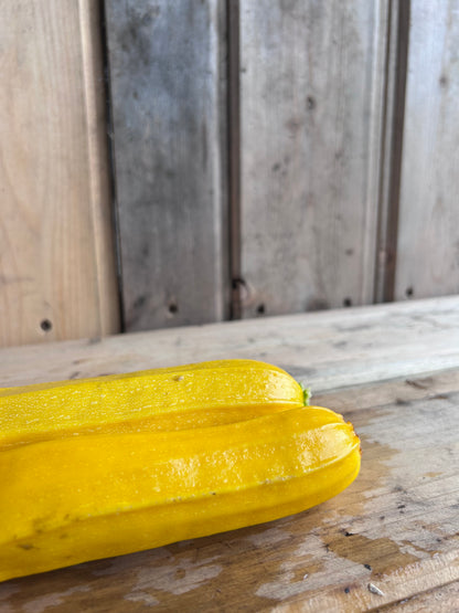 Zucchini, Gold