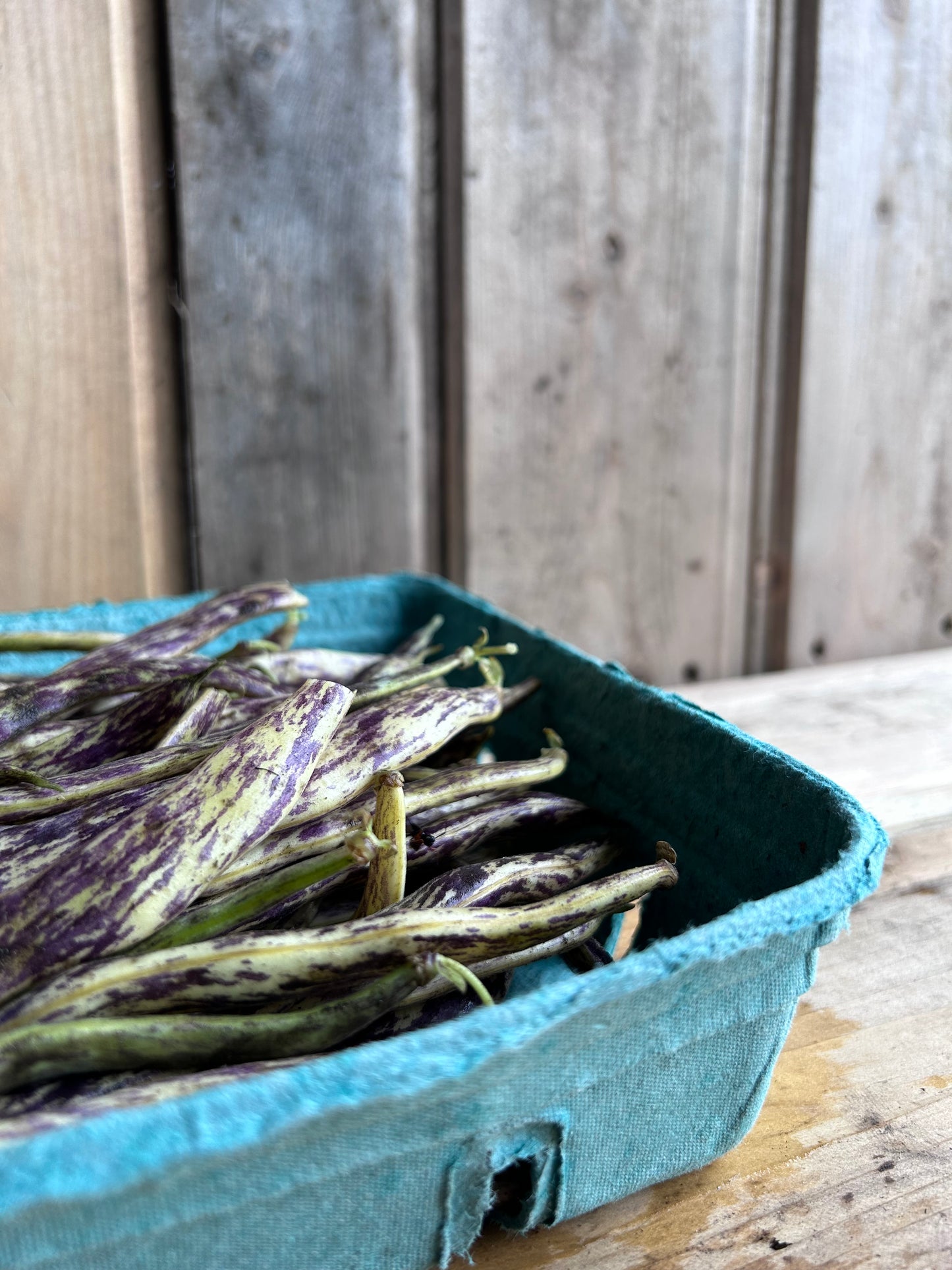 Beans, Dragon Tongue