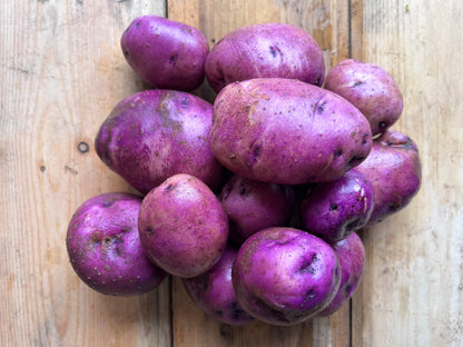 New Potato, Caribe