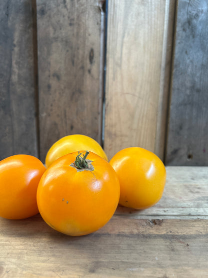 Tomato-Lemon Boy