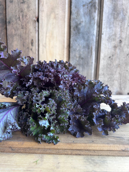 Kale, Purple
