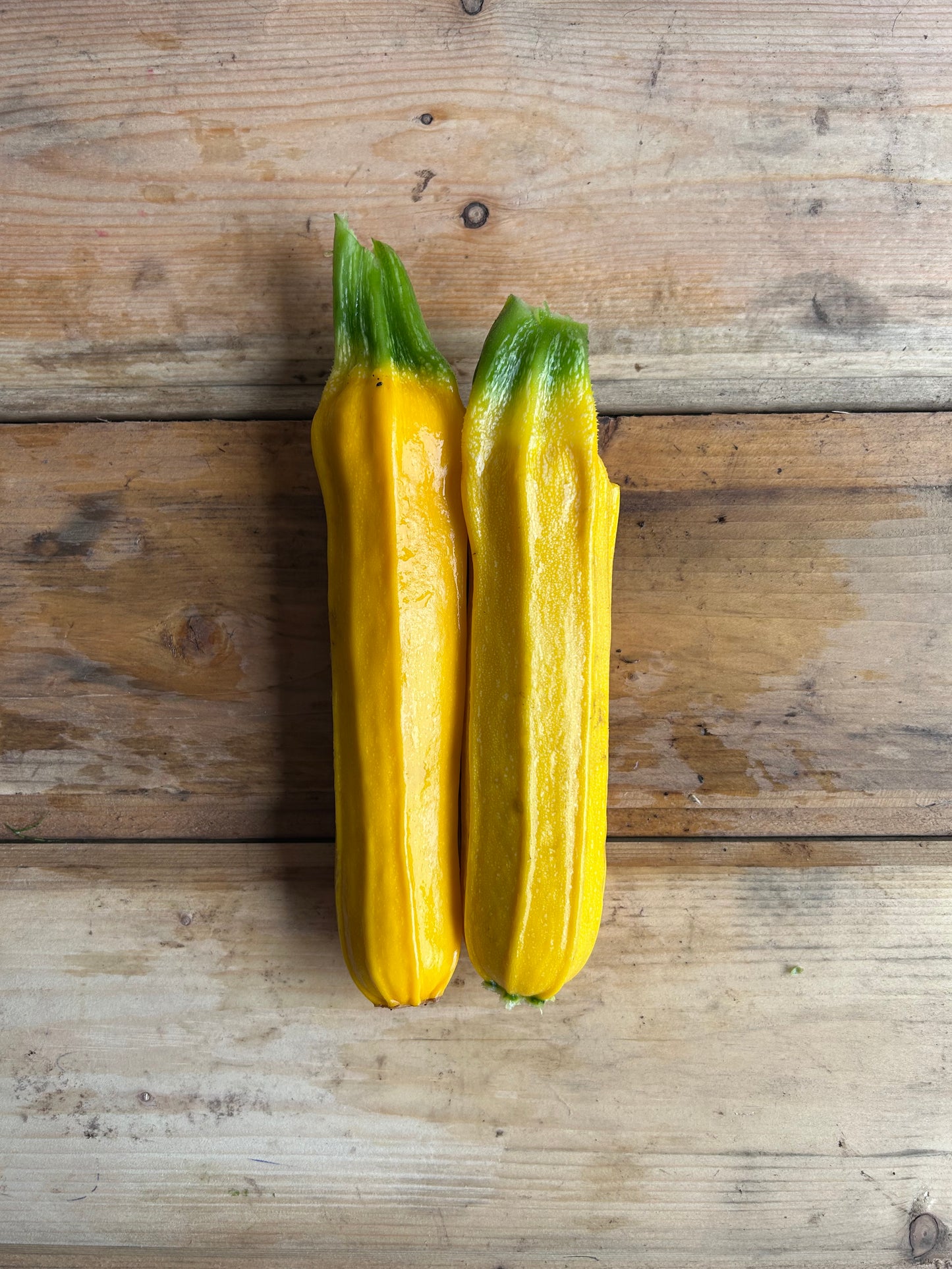 Zucchini, Gold