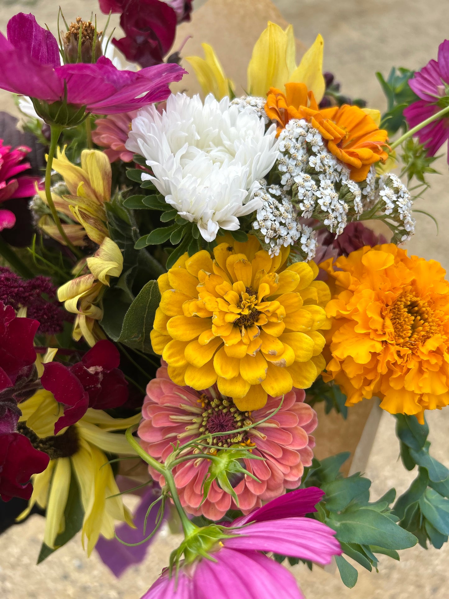 2026 Flower CSA