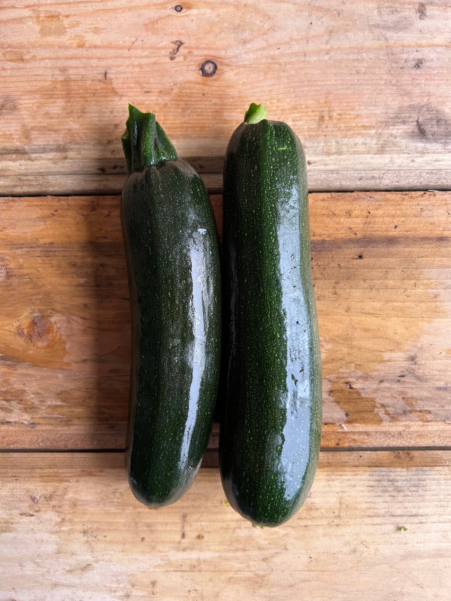 Zucchini, Green
