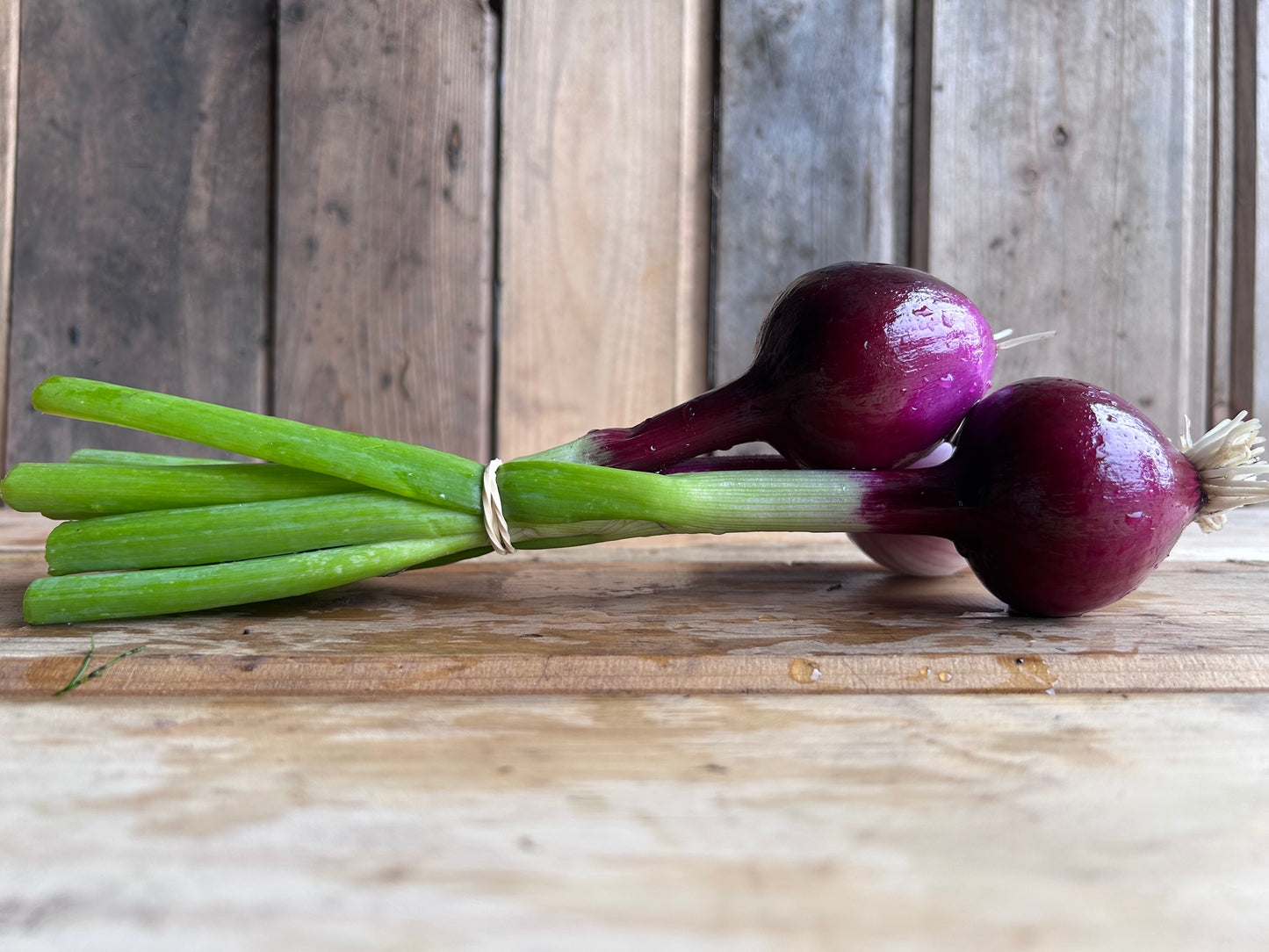 Fresh Onion, Red