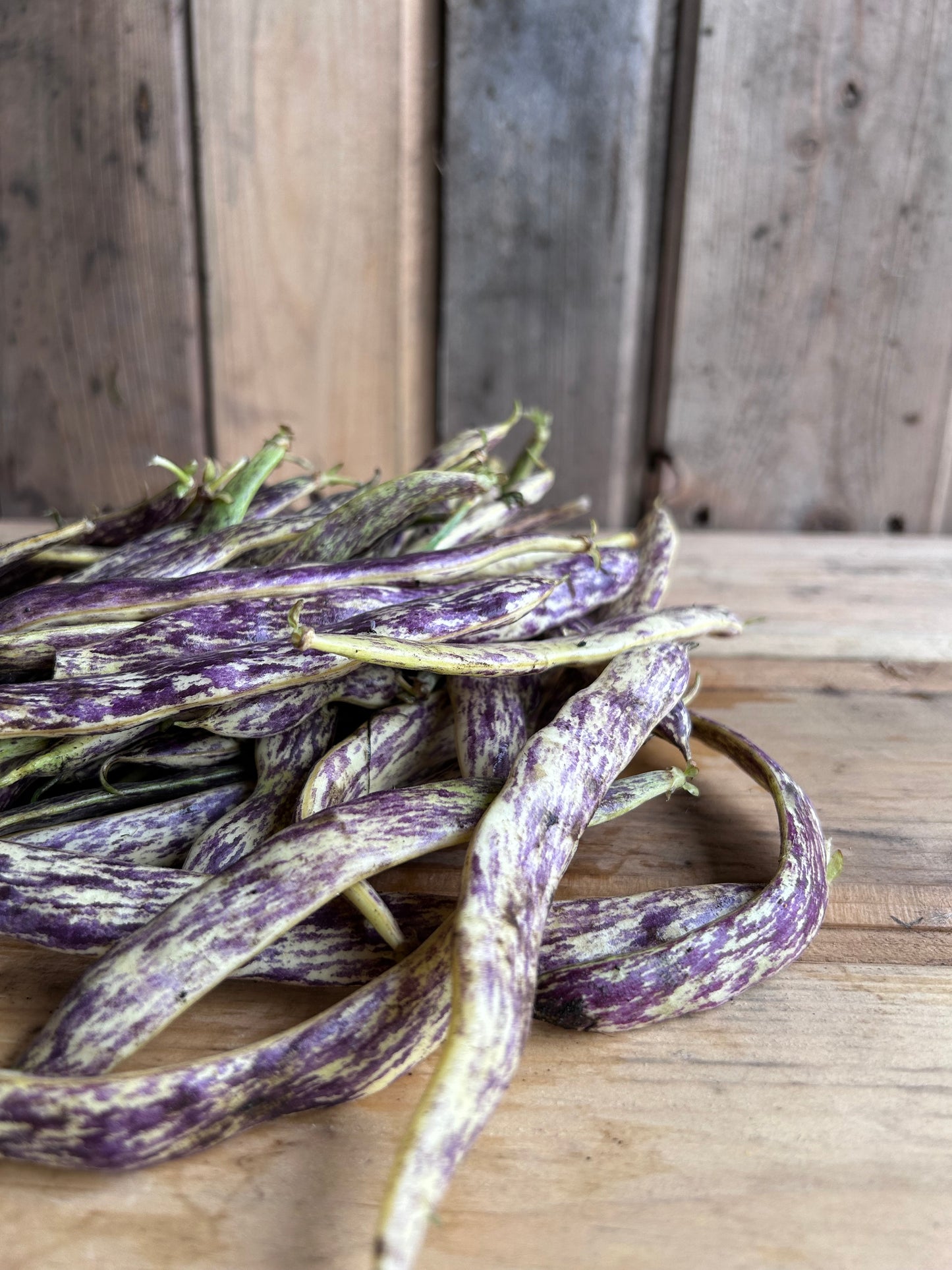 Beans, Dragon Tongue