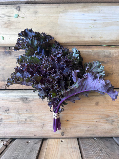 Kale, Purple