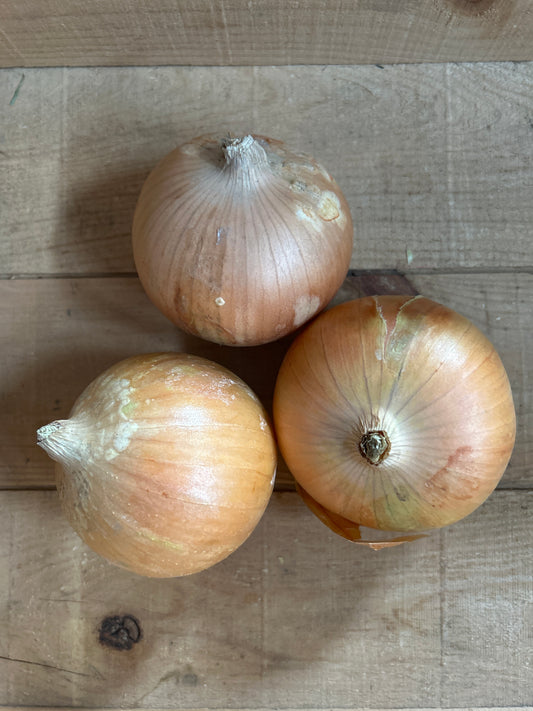 Onions