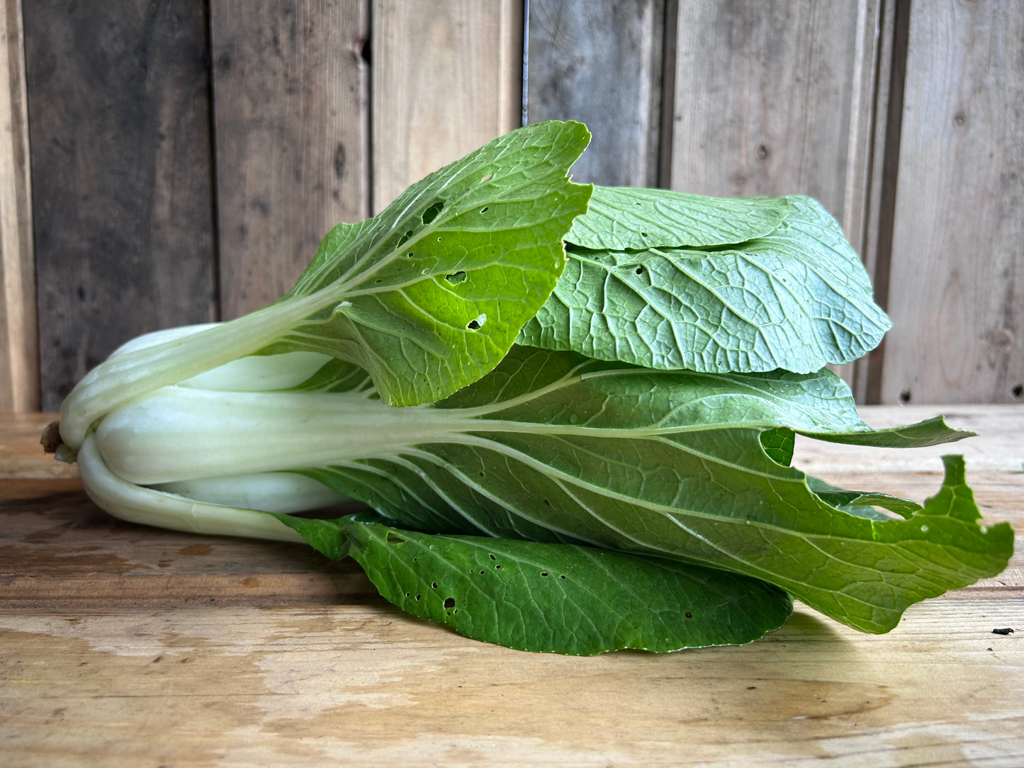 Bopak Bok Choy
