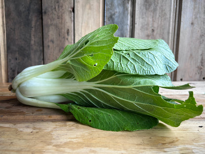 Bopak Bok Choy