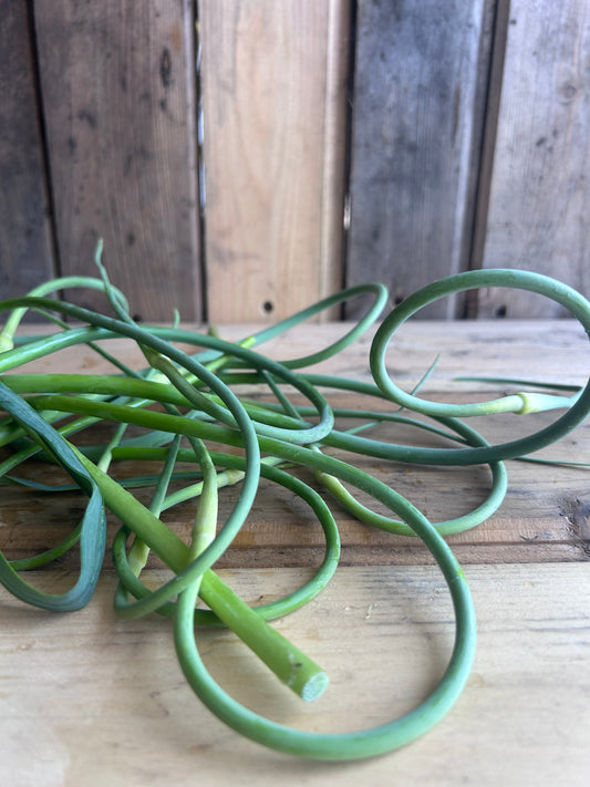 Garlic Scape