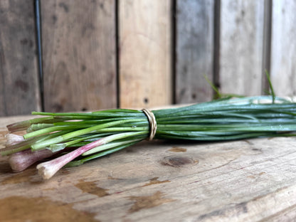 Chive, Garlic