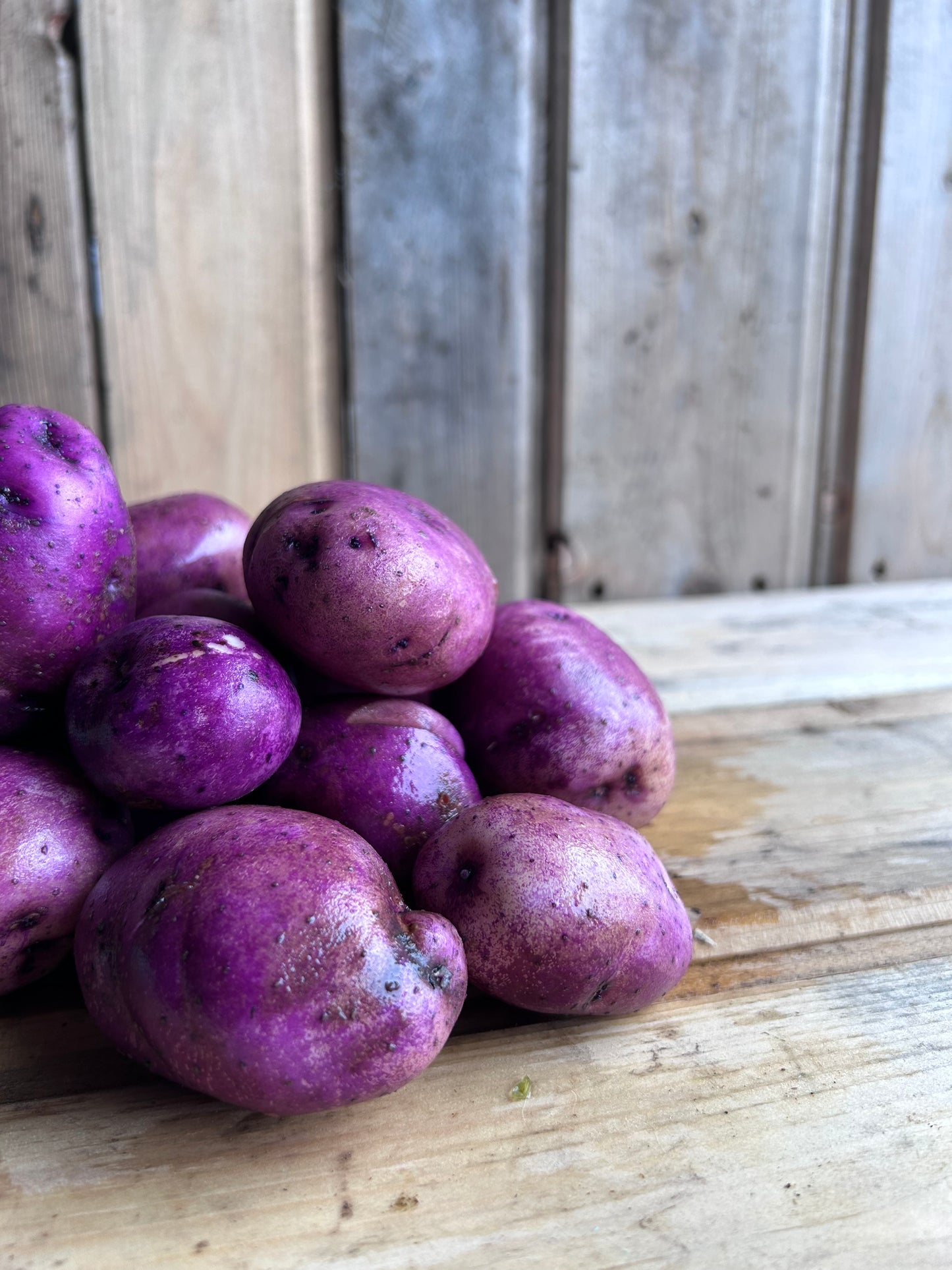 New Potato, Caribe