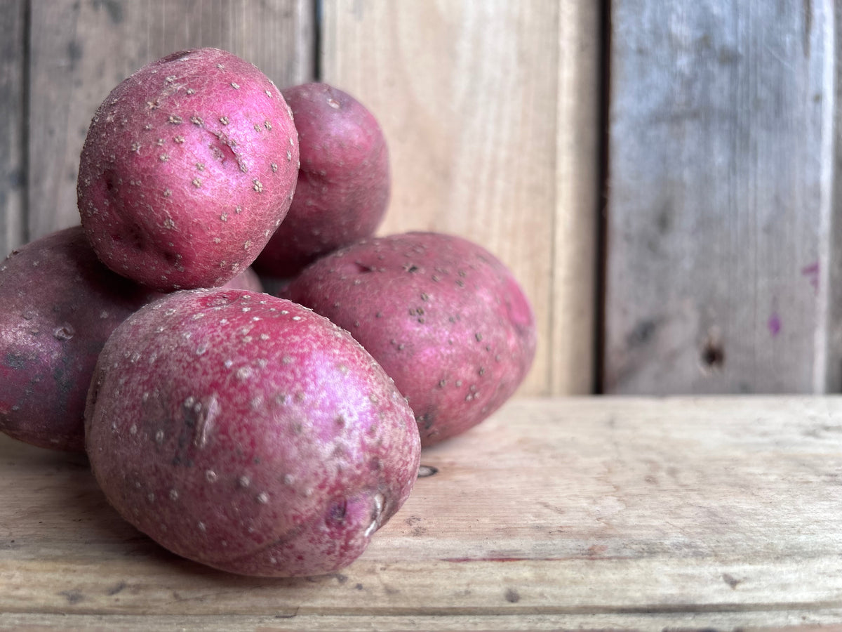 Potato, Sangre