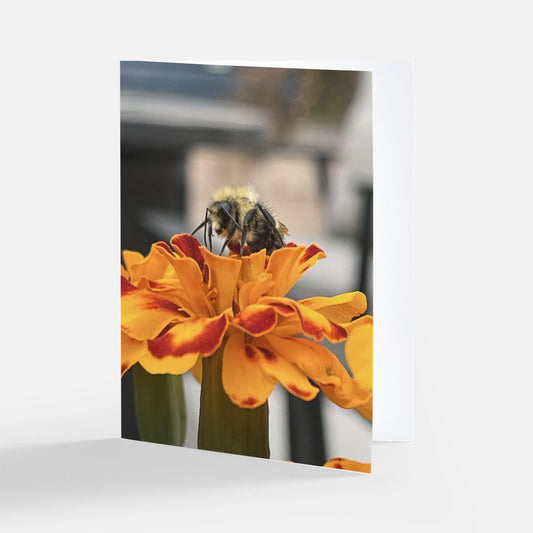 Marigold Bee Note Cards