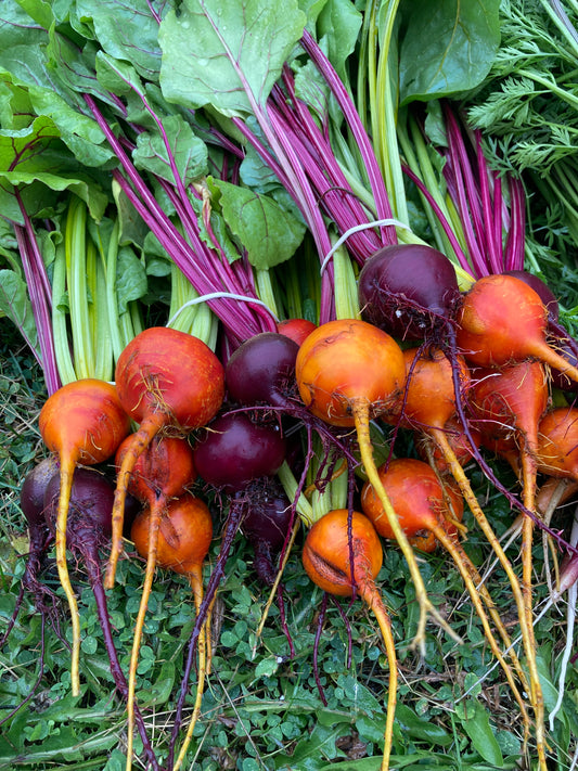 Beets