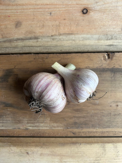 Garlic, Fresh