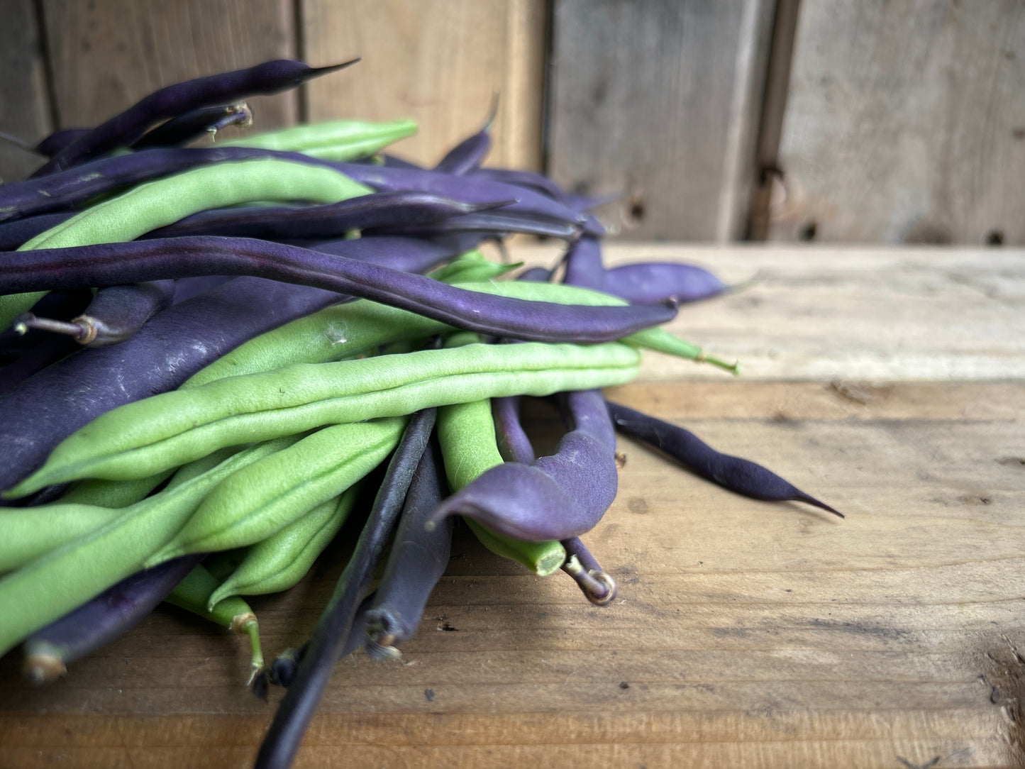Beans, Green/Purple Mixed