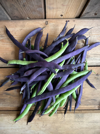 Beans, Green/Purple Mixed
