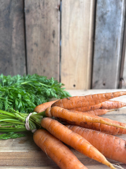 Carrots, Bunch