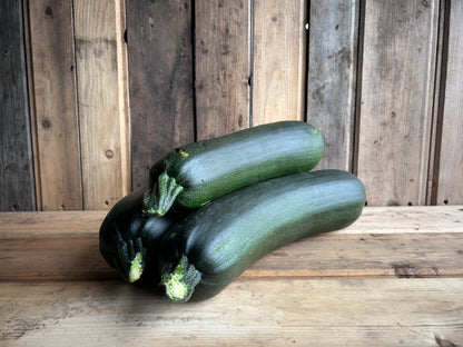 Zucchini, Extra Large for Baking or Relish