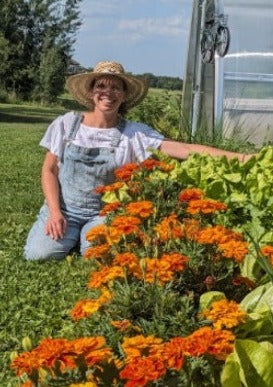 Marigold Seed Packet