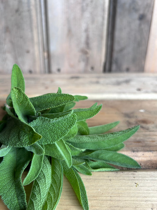 Sage