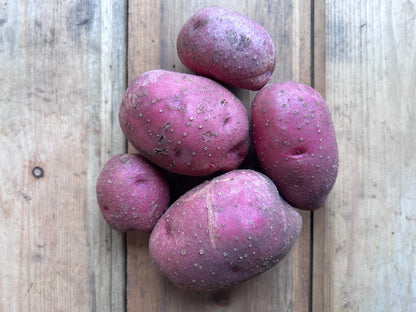 Potato, Sangre