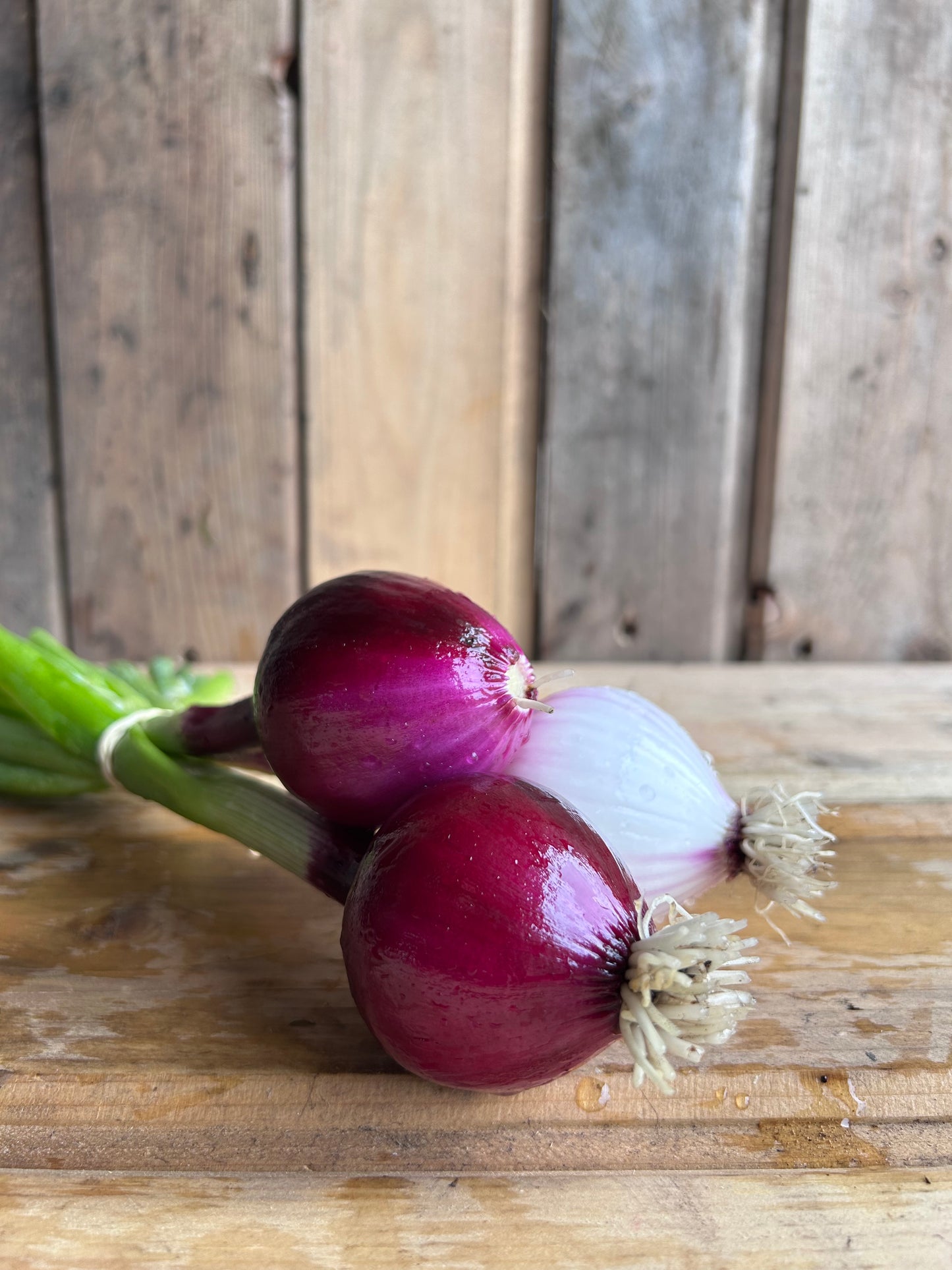 Fresh Onion, Red