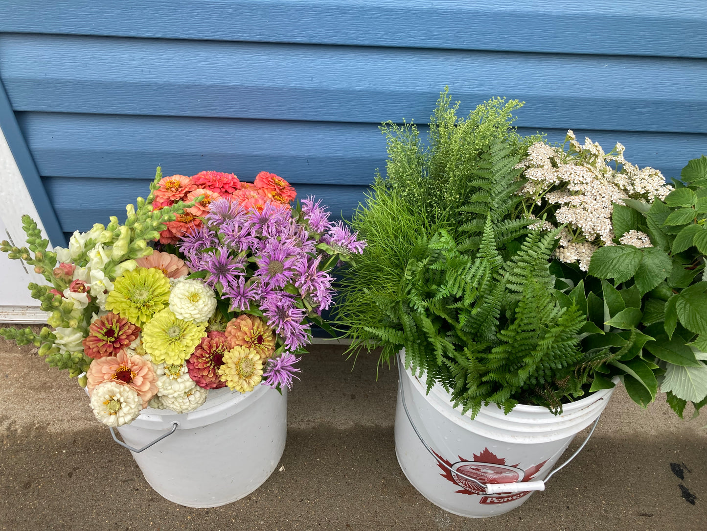 Grower Pail 2026